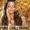 Every Little Thing (Sweeping Chill Guitar Mix) - Ryan Pearce&Telectric