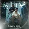 SDV - Gino&K0YA