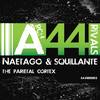 The Parietal Cortex (Original Mix) - Naetago&Squillante