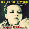 It's Too Hot for Words (Gardener of Delight Remix) - Jojo Effect&Billie Holiday