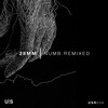 Numb(feat. Numa) (28mm VIP) - 28mm&Numa