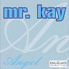 Angel (Radio edit) - Mr. Kay