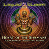 Roots of the Earth (Medicina Mix) - Liquid Bloom