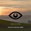 Healing Through Herbs (Original Mix) - Kakkar Lounge