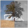 Seasons (Explicit) - Offline