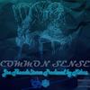 Common Sense (feat. Joe Thunda$torm) (Explicit) - Miless&Joe Thunda$torm