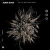What You Need - Adam Beyer