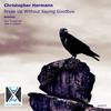 Break Up Without Saying Goodbye (Axel Terblanche Remix) - Christopher Hermann&Axel Terblanche