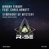 Symphony of Mystery (Dreamy Darker Remix) - Binary Finary&Chris Arnott