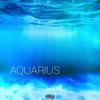Aquarius (Explicit) - Zay Uchiha!