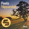 Feels (Original Club Mix) - Nippandab