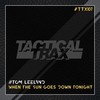 When the Sun Goes Down Tonight (Edit) - Tom Leeland