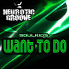 Want to Do (DJ Bird Remix) - soulkids&嘻哈有态度