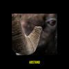 Abstand (Explicit) - Pedram