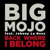 Back Where I Belong(feat. Johnny La Rosa) (DJ Tools) - Big Mojo&Johnny La Rosa