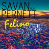 Felino - Savan&Pernett