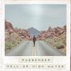 HELL OR HIGH WATER - Passenger