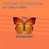Falling in Your Arms - Seirious