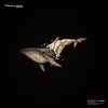 Without You (Biagio Ess Remix) - Ottexx&Bora&Biagio Ess