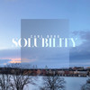 Solubility - Carl Borg
