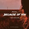 Because of You(feat. Nayio Bitz) (Nayio Bitz Remix) - Nikko Culture&Nayio Bitz