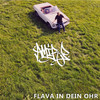 Flava in dein Ohr (Explicit) - AMIR P