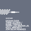 Think Global (Terry Lee Brown Junior Remix) - Ocean Gaya