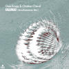 Salinas (Bouillabaisse Mix) - Gass Krupp&Christian Cheval