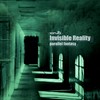 Incognito (Original Mix) - Invisible Reality