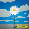 Iced Tea (jacuzzi jefferson Remix) - Caroline Byrne&jacuzzi jefferson