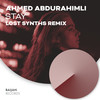 Stay (Lost Synths Remix) - Ahmed Abdurahimli&Lost Synths