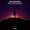 We'll Meet Again (Ametrine Remix) - Anlaya Project&Ametrine