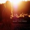 What You Need - Justin Novak