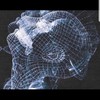 No Navigation (Explicit) - DOWURKDURK