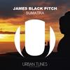 Sumatra - James Black Pitch