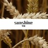 Sunshine（钢琴曲） - 李根