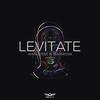 Levitate (Original Mix) - Wahlstedt&Teamworx