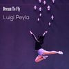 What You Want - Luigi Peyla