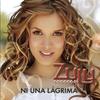 Dejate Amar - Zuly