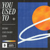 You Used To - Duumu&I See Colors&LUMA