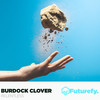 Relentless - Burdock Clover