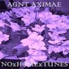 BLAKxBLOODxWHITExBLOOD - AGNT AXIMAE