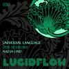 Raw Dub - Universal Language