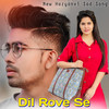 Dil Rove Se - Ikbal khan&Ikbal mewati