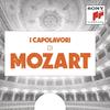 II. Adagio from Concerto in A Major for Clarinet and Orchestra, K. 622 - Sir Colin Davis&Karl-Heinz Steffens&Wolfgang Amadeus Mozart