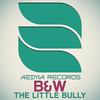 B&W (Original Mix) - The Little Bully