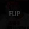 Flip (Radio Edit) - Flip Huston