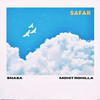 Safar - Mohit Rohilla&Snasa