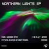 Northern Lights (Original Mix) - Faible&Iriann Joyce