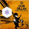 Love Freedom Truth - Dub Dillah